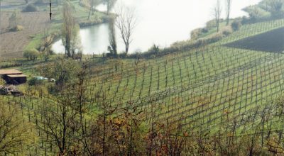 Alla scoperta del sito palafitticolo del Laghetto della Costa ad Arquà Petrarca (Pd)