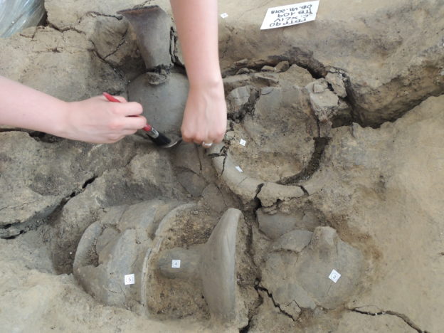 Le tombe padovane dei Veneti Antichi scavate in laboratorio: sorprese che arrivano con il restauro