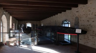 26 novembre, Cervarese Santa Croce | “Cantiere aperto: presentazione dell’intervento di restauro delle imbarcazioni monossili del Museo del Fiume Bacchiglione”