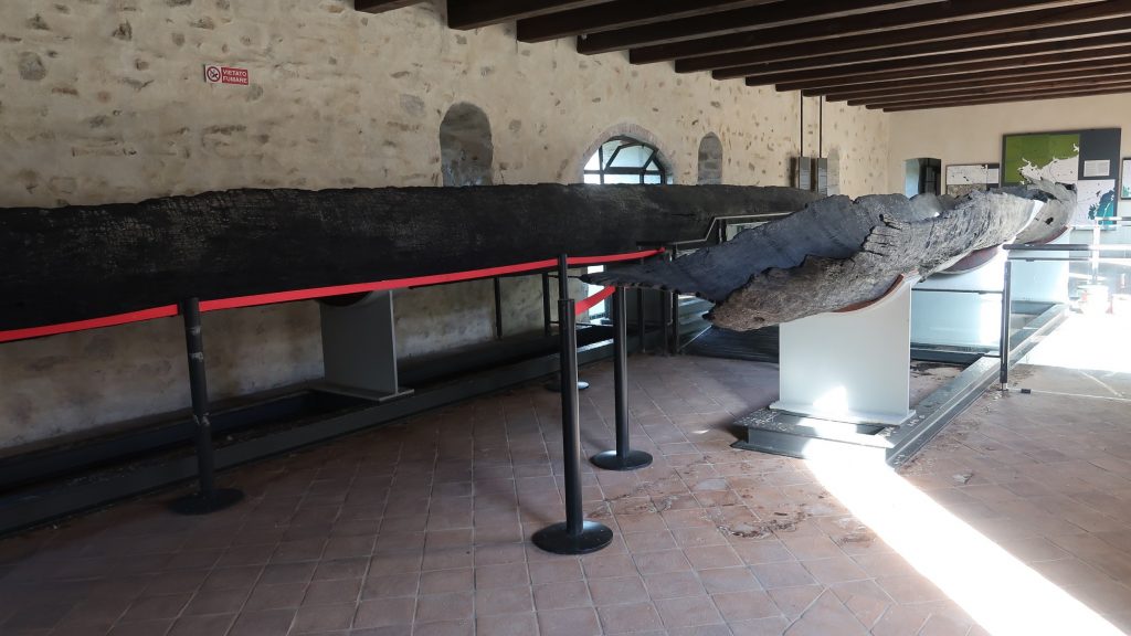 L’attività della Soprintendenza per il recupero conservativo delle piroghe del Museo del fiume Bacchiglione a Cervarese Santa Croce (Padova)