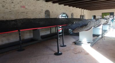 L’attività della Soprintendenza per il recupero conservativo delle piroghe del Museo del fiume Bacchiglione a Cervarese Santa Croce (Padova)