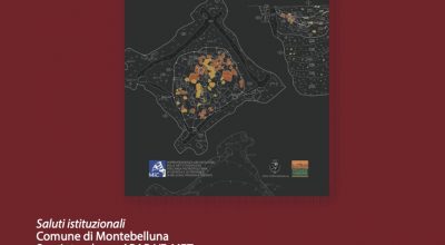 Museo di Storia Naturale e Archeologia di Montebelluna: presentazione del volume “Archeologia del territorio a Montebelluna”
