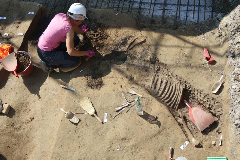 Padova | Una nuova necropoli veneta scoperta durante un cantiere dell’Università