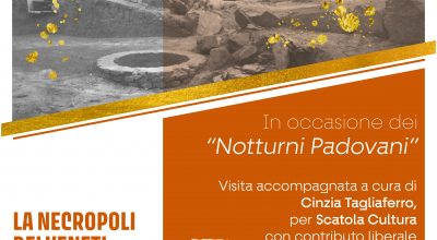 Domenica 6 luglio visita accompagnata all’area archeologica di Via Santo Stefano ad Este, la necropoli dei Veneti antichi