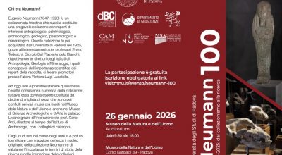 “Neumann 100. 1925-2025: dal collezionismo alla ricerca”, una giornata di approfondimento incentrata sulla figura del collezionista triestino Eugenio Neumann al Museo della Natura e dell’Uomo di Padova